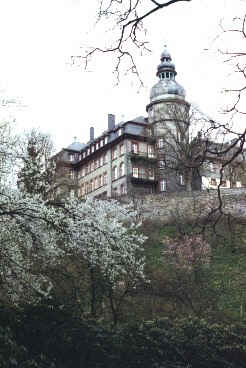 A view of the castle from the park below
