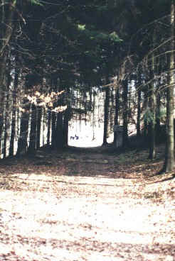 Stations of the Cross